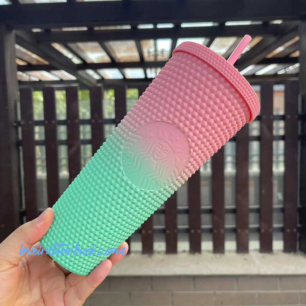 Starbucks Taiwan ombré matte pink green gradient studded cold tumbler cup 24oz