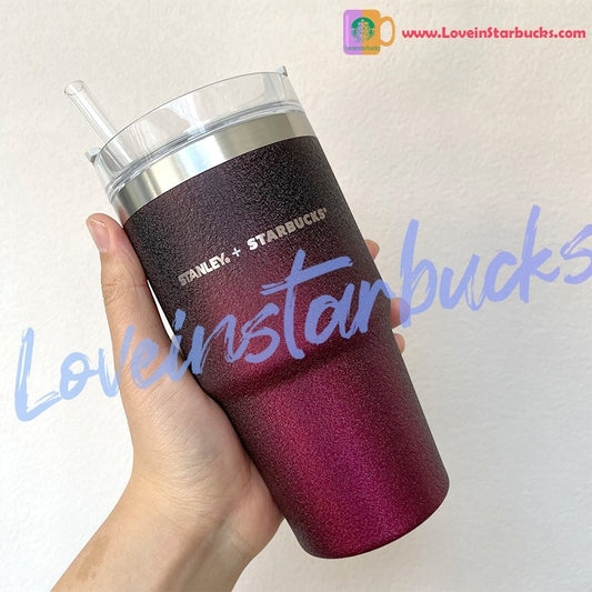 Starbucks China 2021 Halloween 20.8oz Stanley Dark Night Stainless Steel Straw Cup